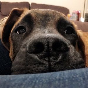 Meet your Posher, Kile